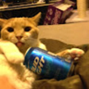 Meet your Posher, Ronald